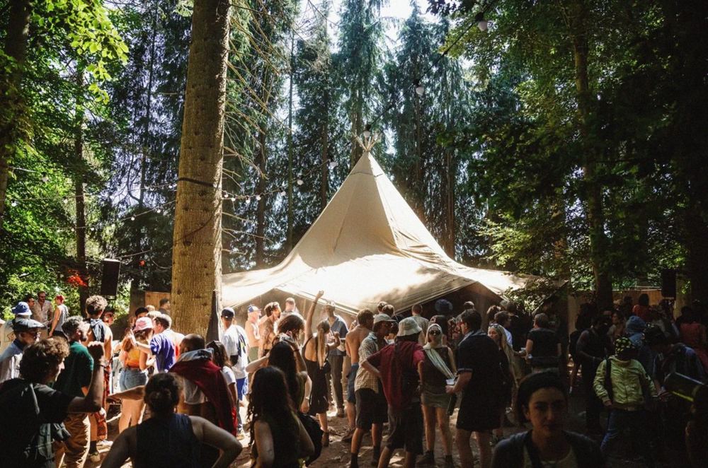 Houghton Festival “deeply saddened” by death of attendee at this year's event