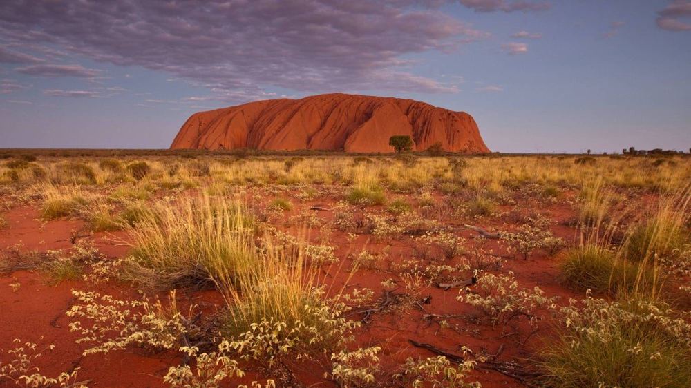 New $18M Uluru Trail Replaces Banned Climb With High-Yield Eco-Tourism
