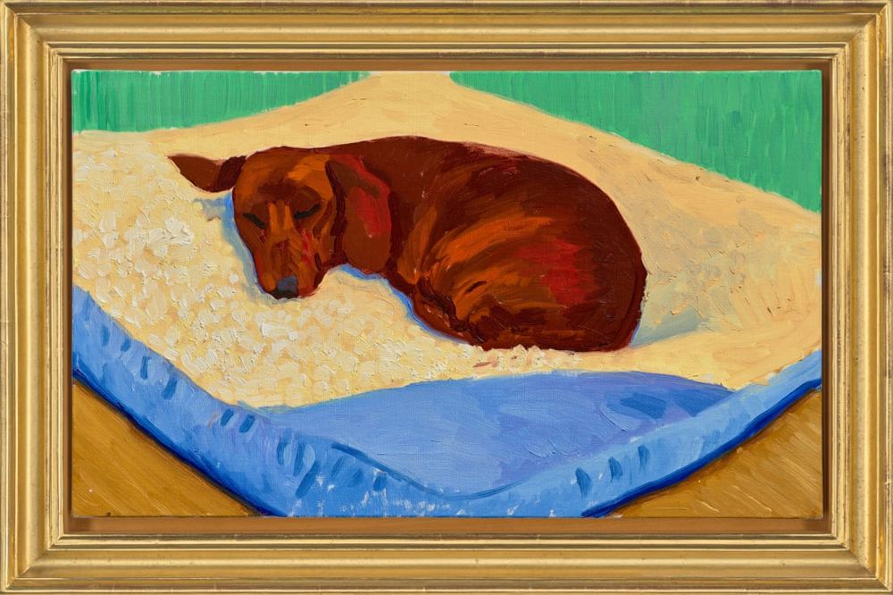 Rare sale of David Hockney painting of beloved dog Stanley could fetch £2.5m