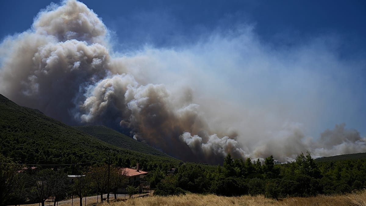 Wildfires in Europe: blazes continue to spread in France and Greece