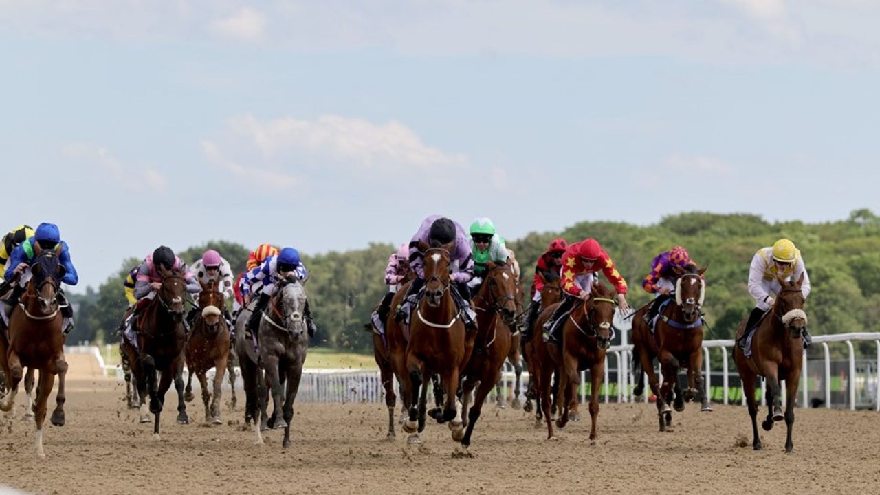 High-Value Thoroughbred Investments Headline Friday Racing Card