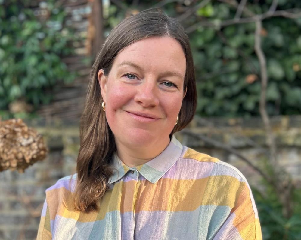 Natural Disaster by Lisa Owens review, the last day of maternity leave is a comic rollercoaster