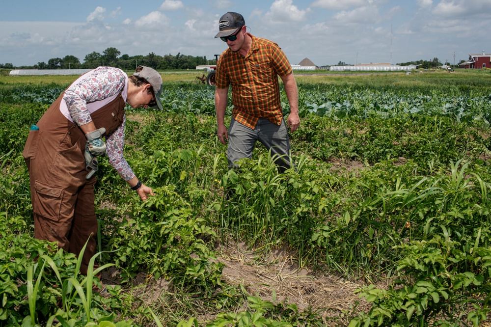 US farm bankruptcies surge as Trump tariffs and USDA cuts rattle global markets